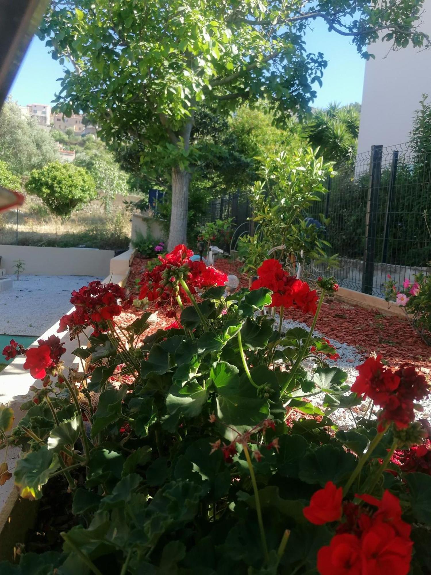 A Casa Assulanatta Bed and Breakfast Santa-Reparata-di-Balagna Eksteriør billede